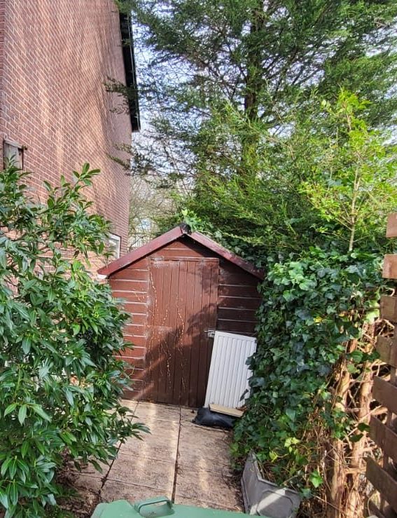 Before: the garden beside the house, with a shed by the fence